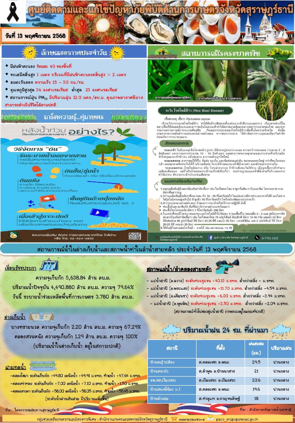รายงานสถานการณ์ประจำวัน