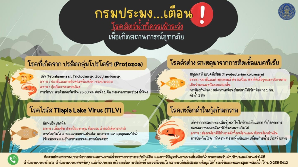 กรมประมงเตือนโรคสัตว์น้ำที่ควรเฝ้าระวังเมื่อเกิดสถานการณ์อุทกภัย