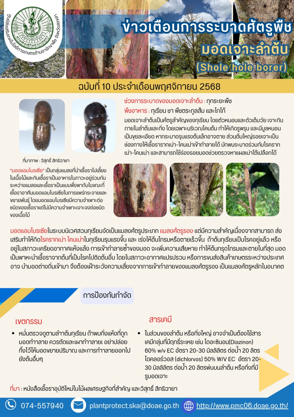 เตือนเกษตรกร!ช่วงนี้พบการระบาดของ