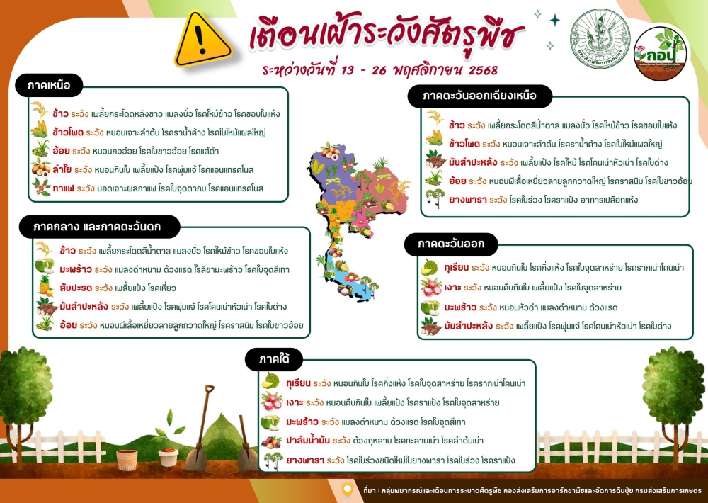 เตือน!!!!!!เฝ้าระวังการระบาดศัตรูพืช