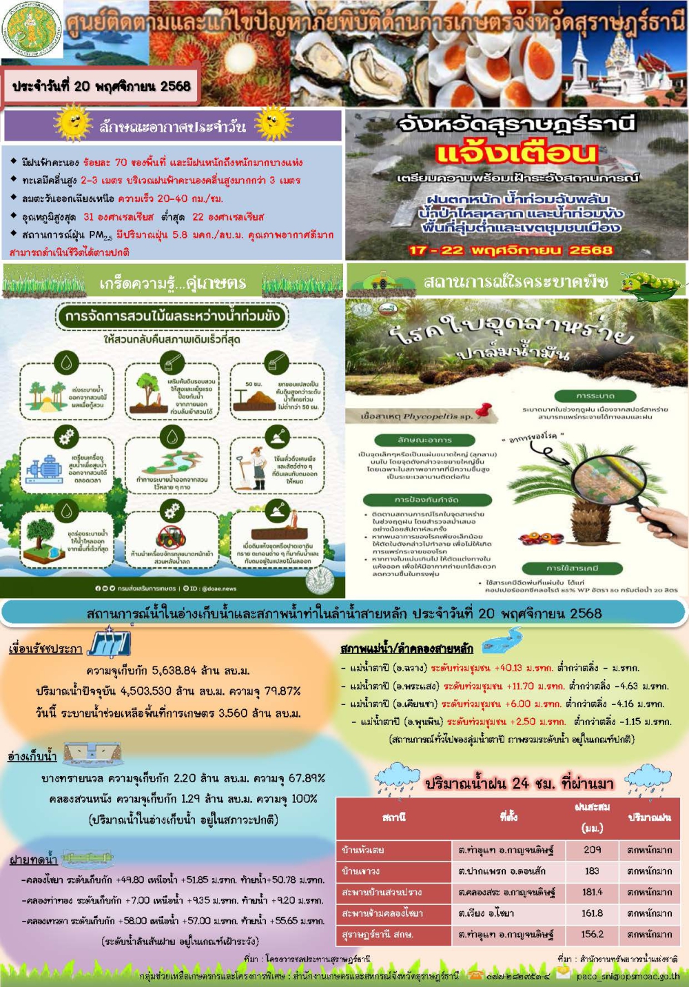 รายงานสถานการณ์ประจำวัน