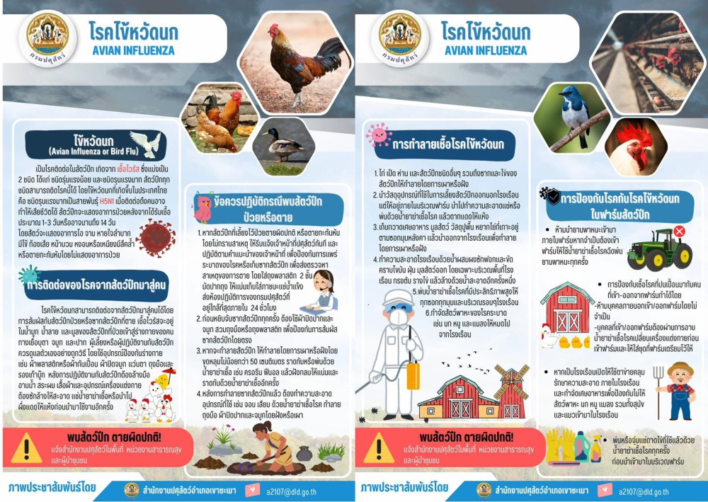 โรคไข้หวัดนก