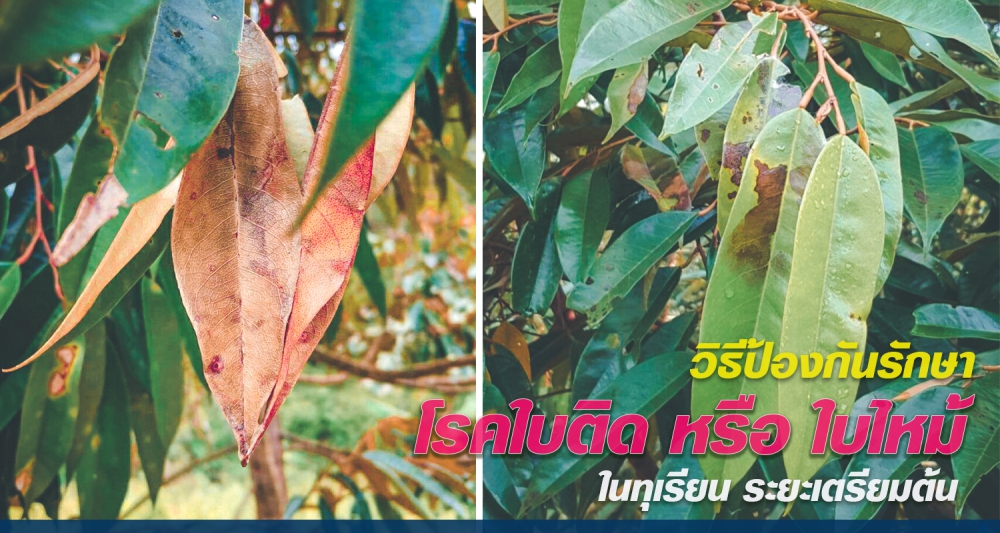 เตือนการเฝ้าระวัง