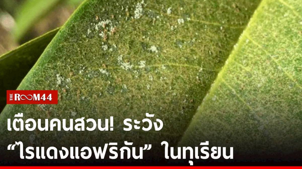 เตือนการเฝ้าระวัง