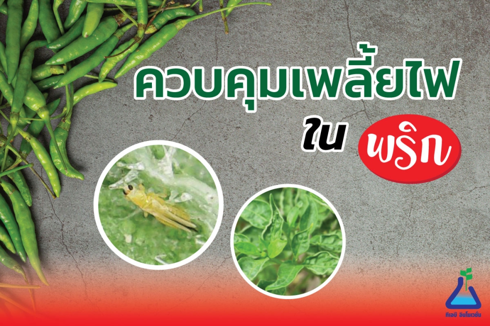 เตือนการเฝ้าระวัง