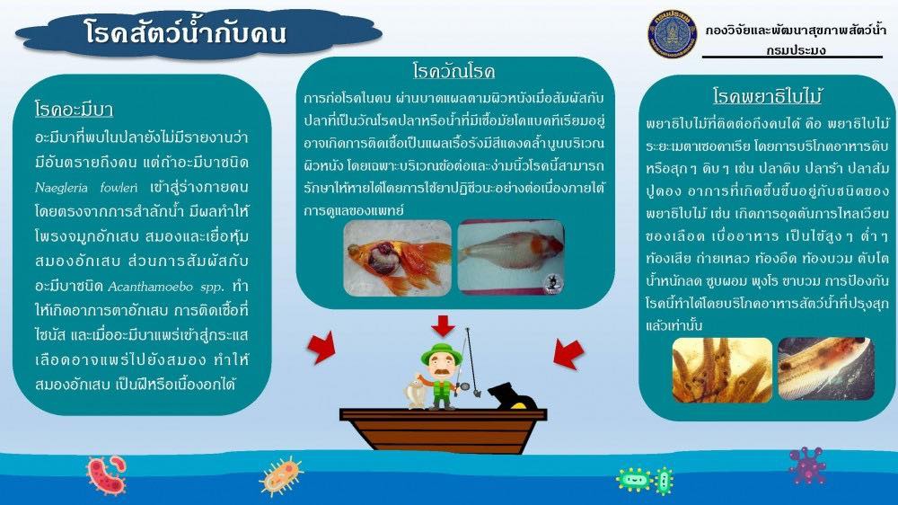 โรคสัตว์น้ำกับคน