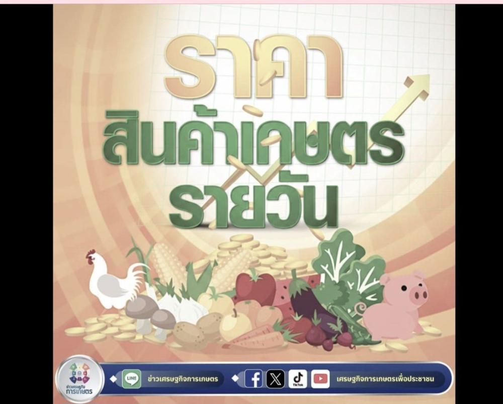 ราคากลาง หรือ ตลาดสำคัญ ประจำวันที่ 17 ธันวาคม 2568