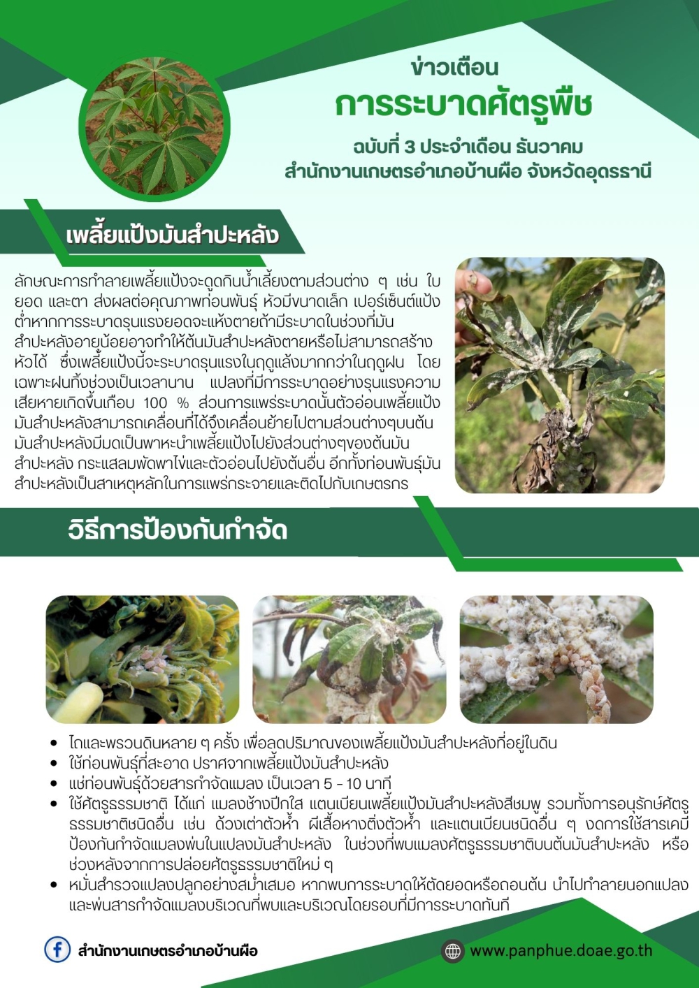 เตือนภัยเกษตรกรเฝ้าระวังการระบาดศัตรูพืช