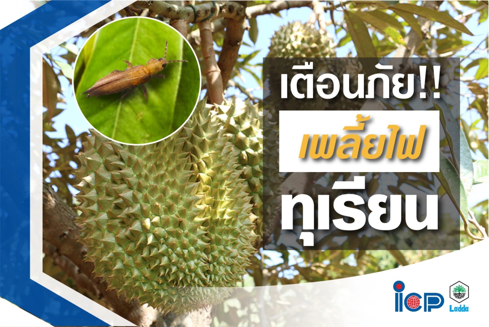 เตือนการเฝ้าระวัง