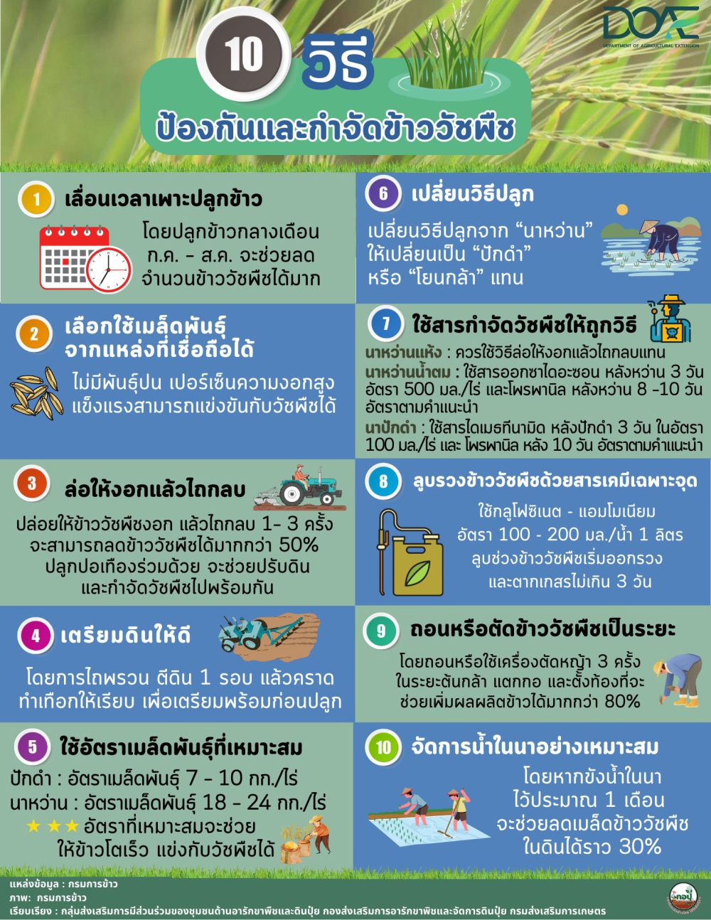 10 วิธี ป้องกันและกำจัดข้าววัชพืช