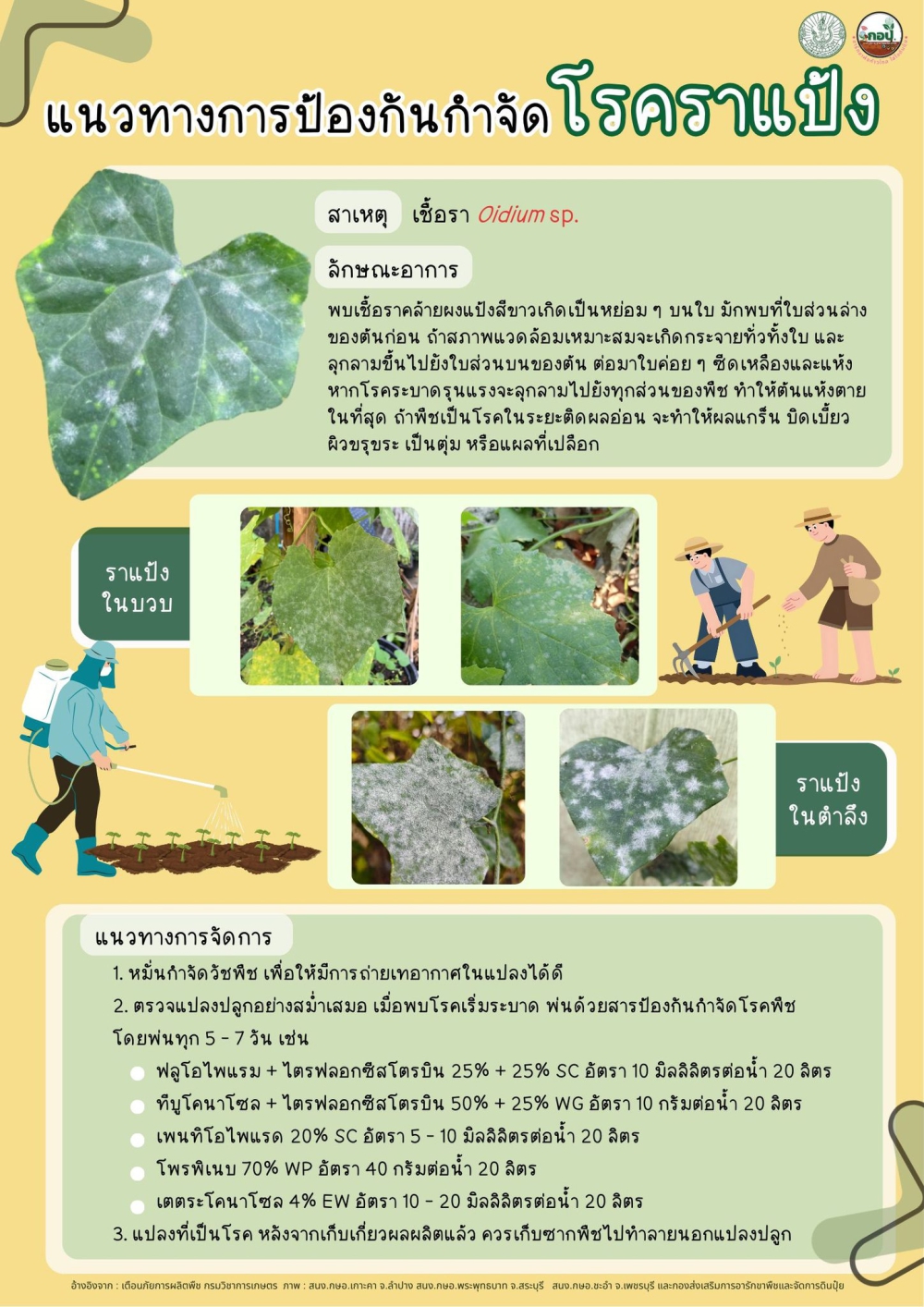 เตือนการเฝ้าระวัง โรคราแป้ง ประจำเดือน มกราคม 2569