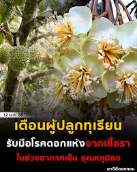 เตือนการเฝ้าระวัง