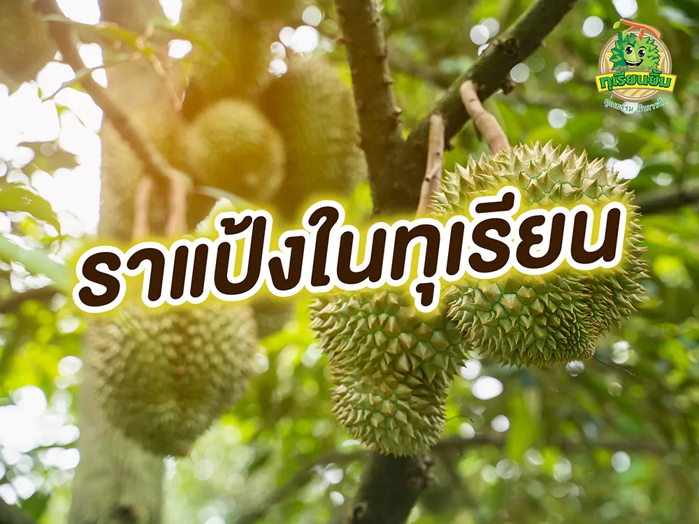 เตือนการเฝ้าระวัง