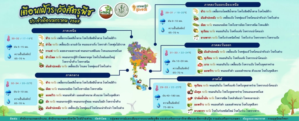 เฝ้าระวังศัตรูพืช ประจำเดือนมกราคม 2569