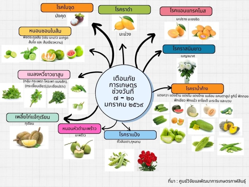 เตือนภัยการเกษตร  ช่วงวันที่  ๗ - ๒๐ มกราคม ๒๕๖๙