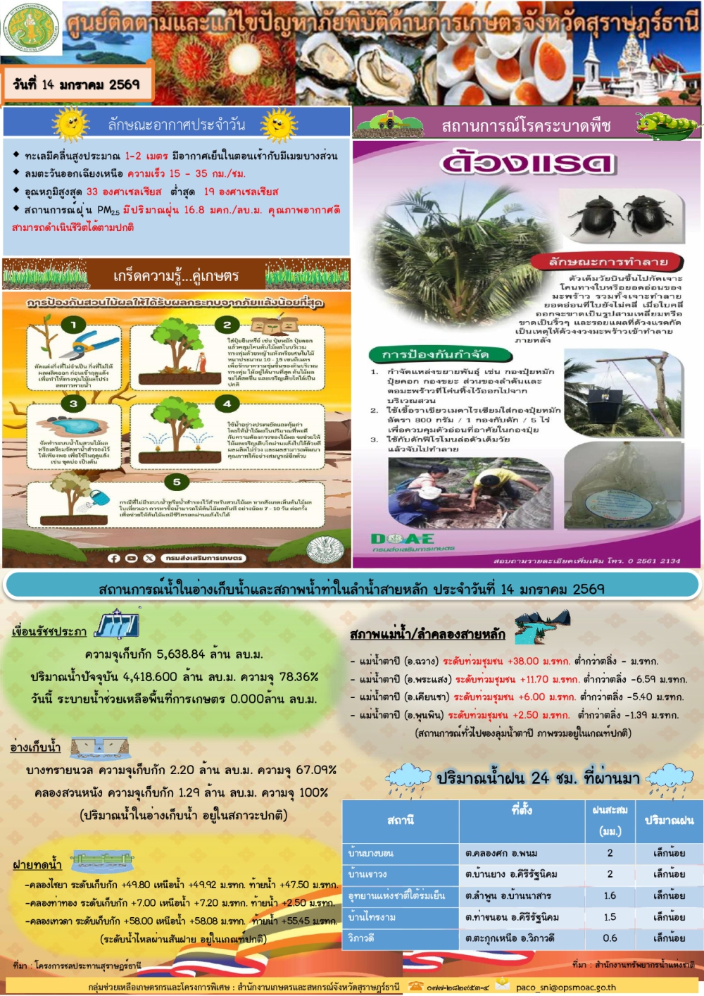 รายงานสถานการณ์ประจำวัน