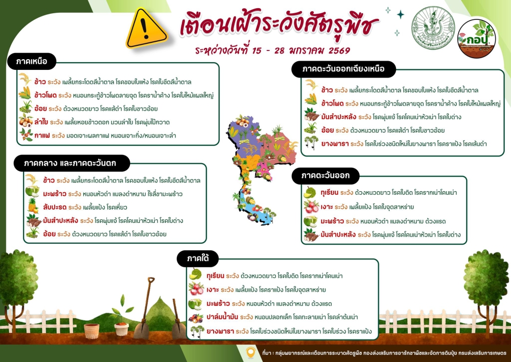 เตือน!!!!!!เฝ้าระวังการระบาดศัตรูพืช