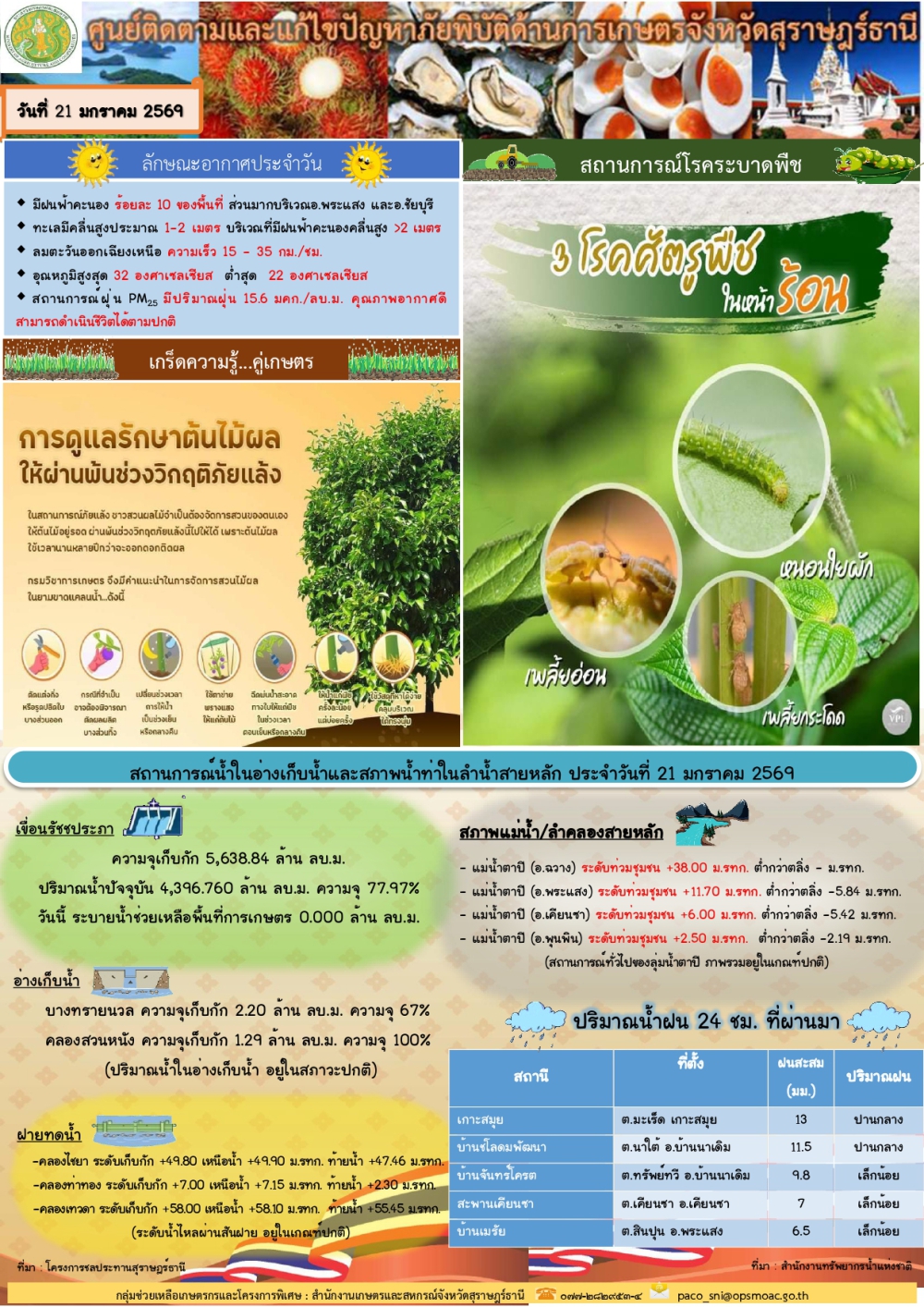 รายงานสถานการณ์ประจำวัน