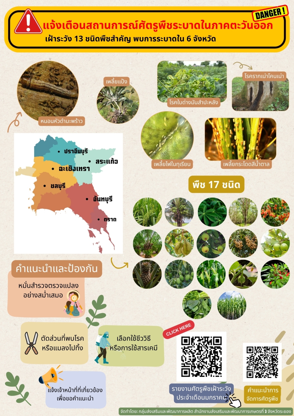 แจ้งเตือนสถานการณ์ศัตรูพืชในภาคตะวันออก