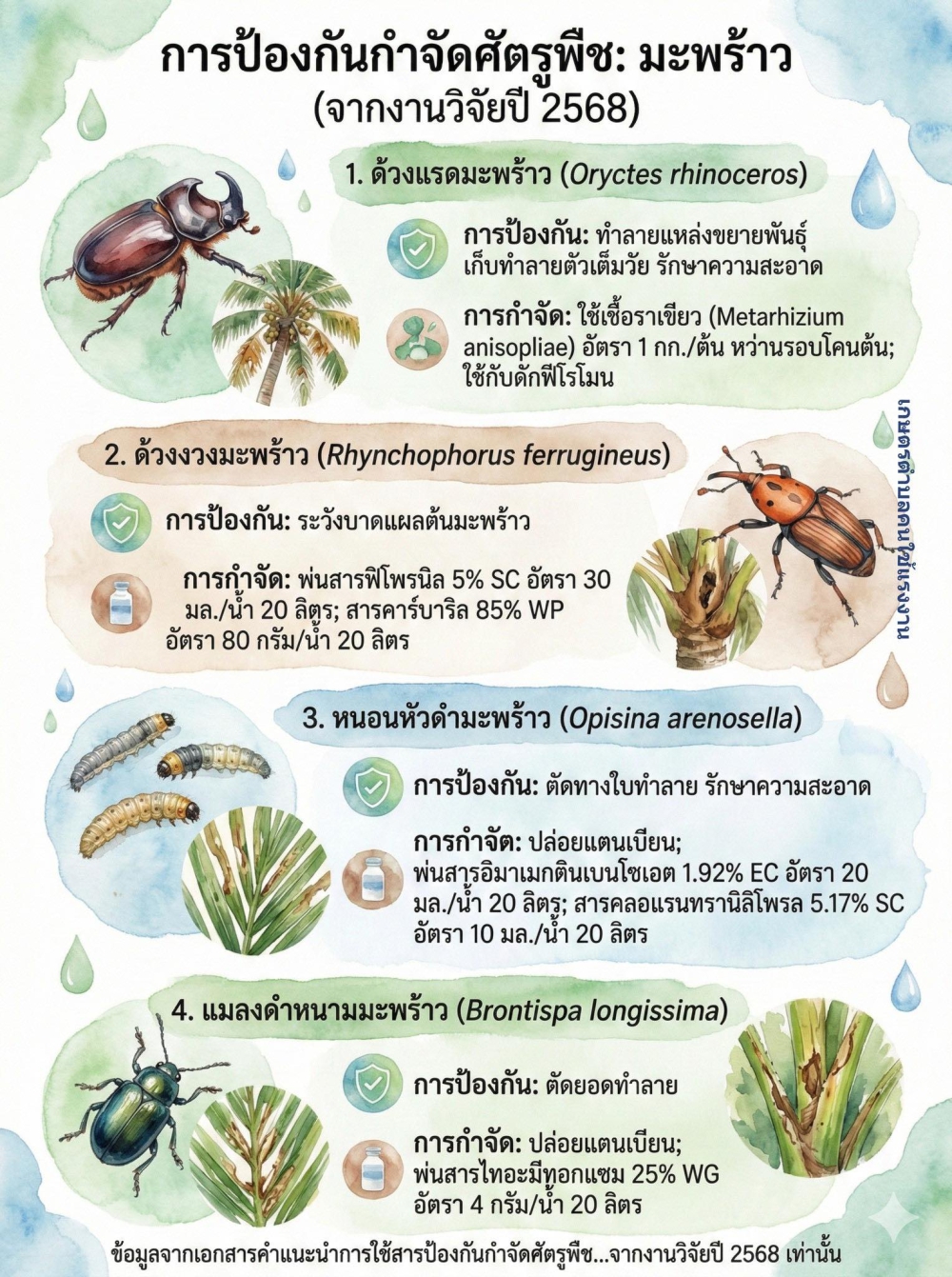 การป้องกันกำจัดศัตรูพืช (มะพร้าว)