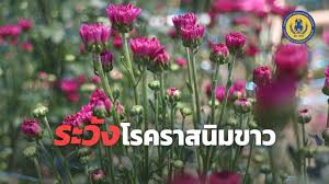 เตือนการเฝ้าระวัง