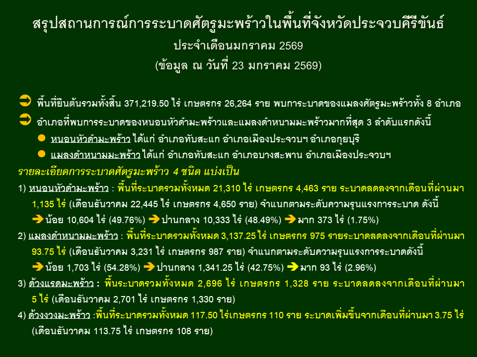 สรุปสถานการณ์การระบาดศัตรูมะพร้าวในพื้นที่จังหวัดประจวบคีรีขันธ์