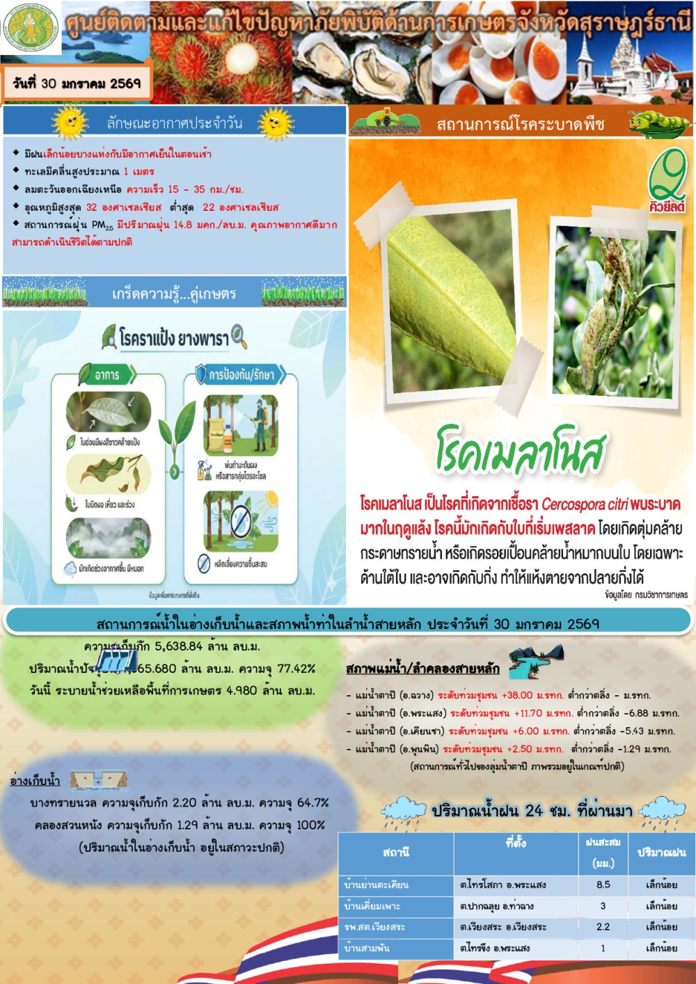 รายงานสถานการณ์ประจำวัน