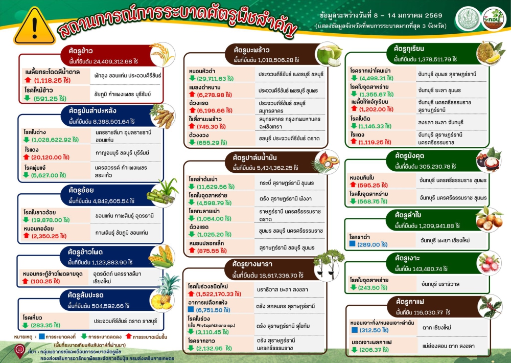 สรุปสถานการณ์การระบาดศัตรูพืชสำคัญ