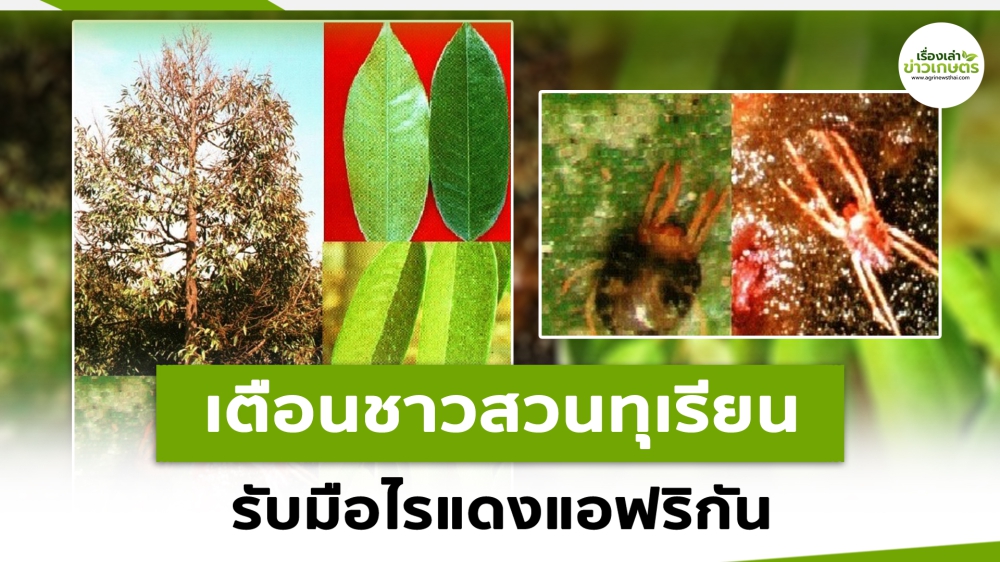 เตือนการเฝ้าระวัง