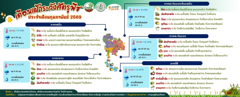 ตือนเฝ้าระวังศัตรูพืชประจำเดือน กุมภาพันธ์ 2569