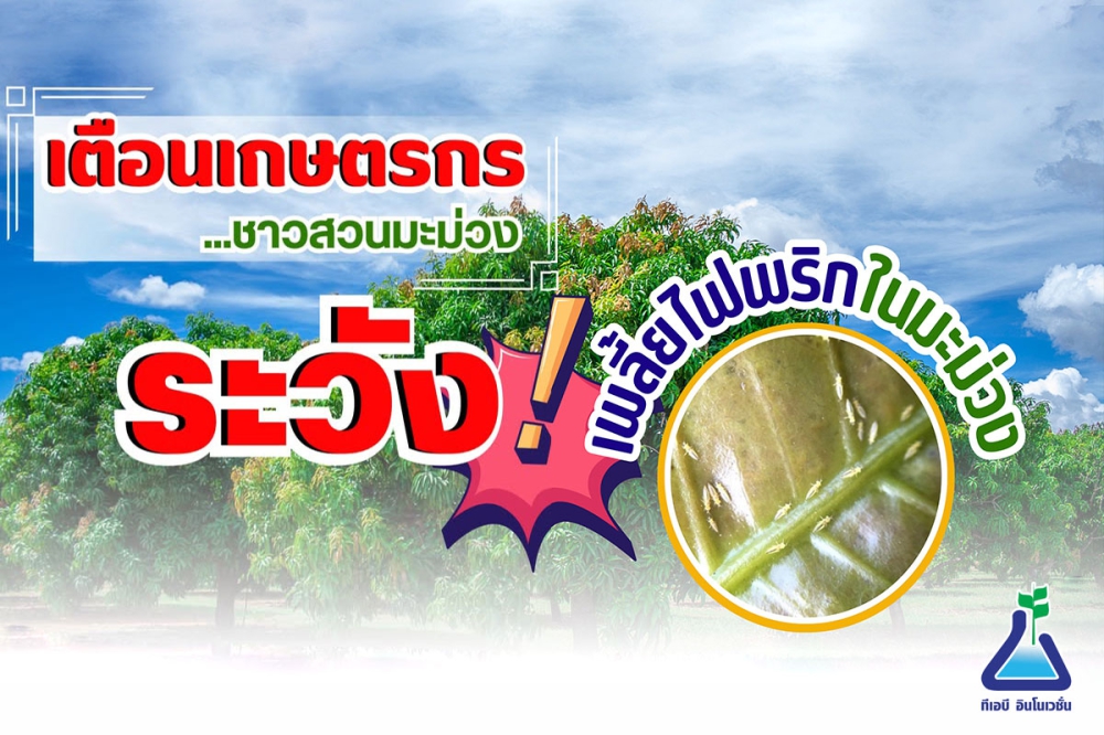 เตือนการเฝ้าระวัง