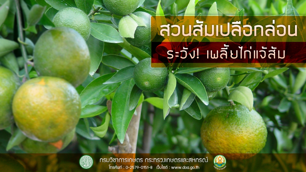 เตือนการเฝ้าระวัง