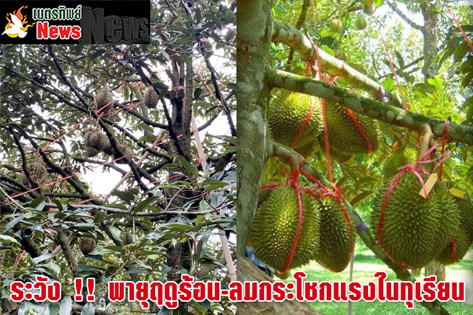 เตือนการเฝ้าระวัง