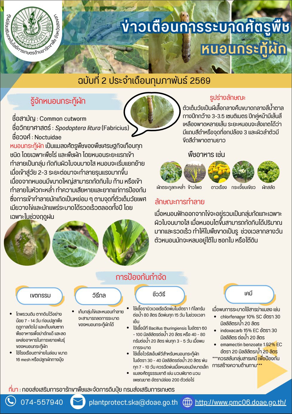 เตือนการระบาด หนอนกระทู้ผัก