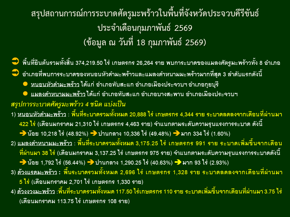สรุปสถานการณ์การระบาดศัตรูมะพร้าวในพื้นที่จังหวัดประจวบคีรีขันธ์