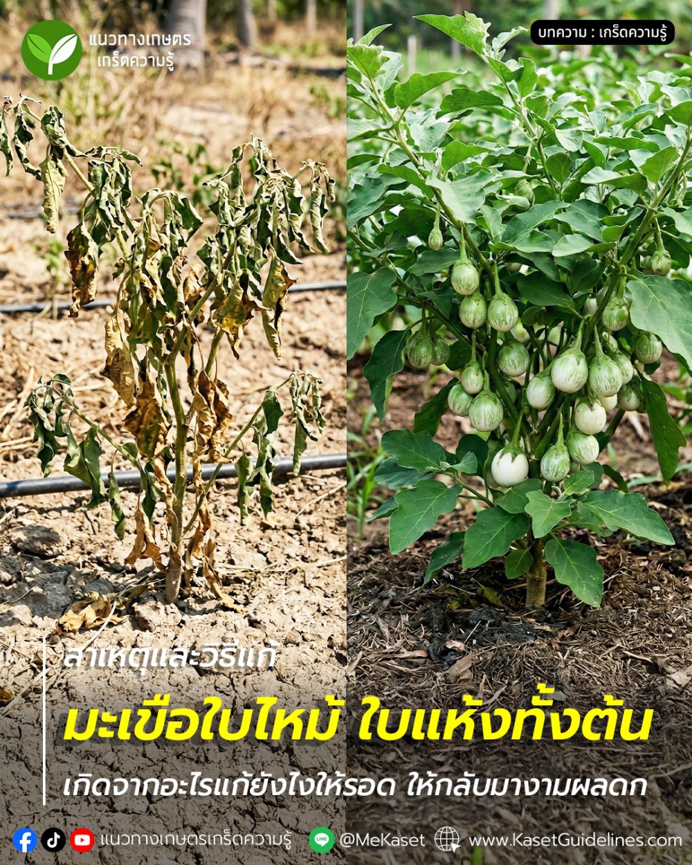 เตือนการเฝ้าระวัง