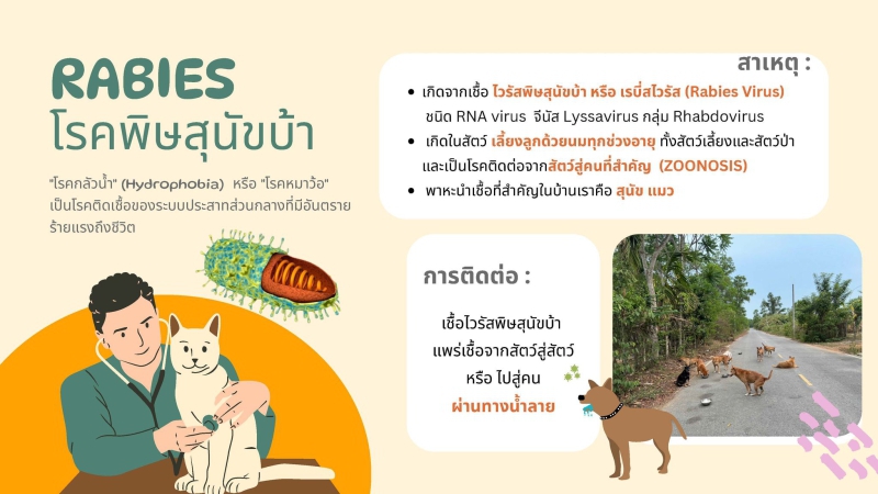 สาธารณสุขเตือนประชาชนตระหนัก