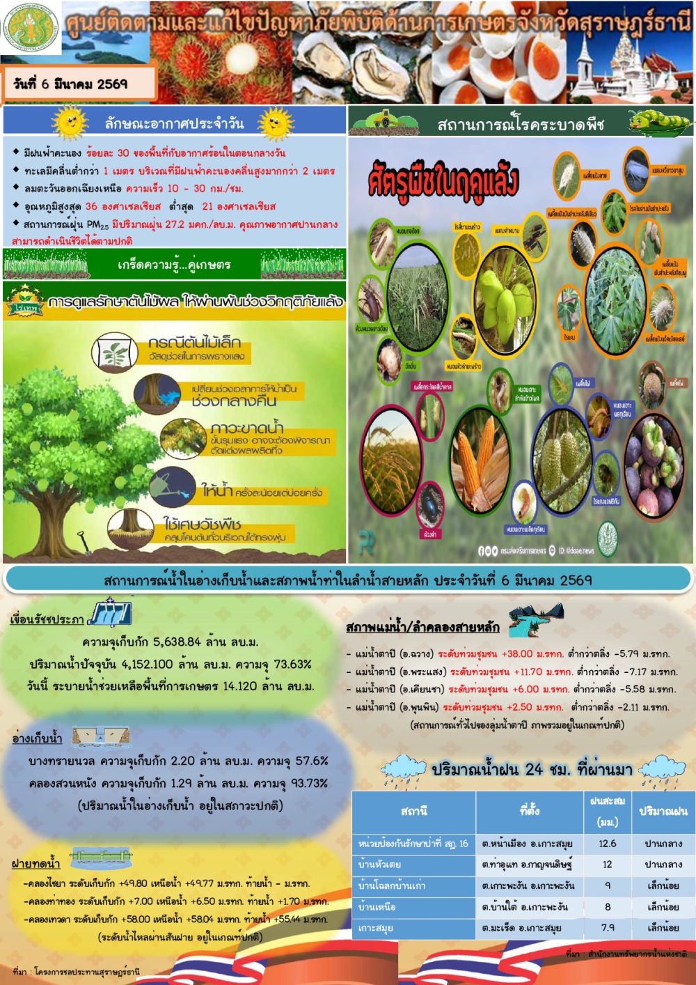 รายงานสถานการณ์ประจำวัน