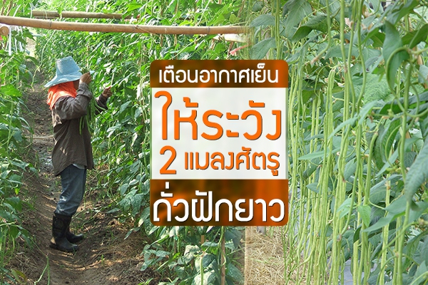 เตือนอากาศเย็นให้ระวัง