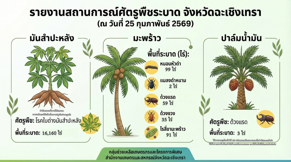 สถานการณ์ศัตรูพืชระบาด