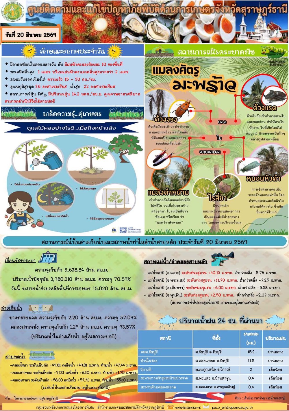รายงานสถานการณ์ประจำวัน