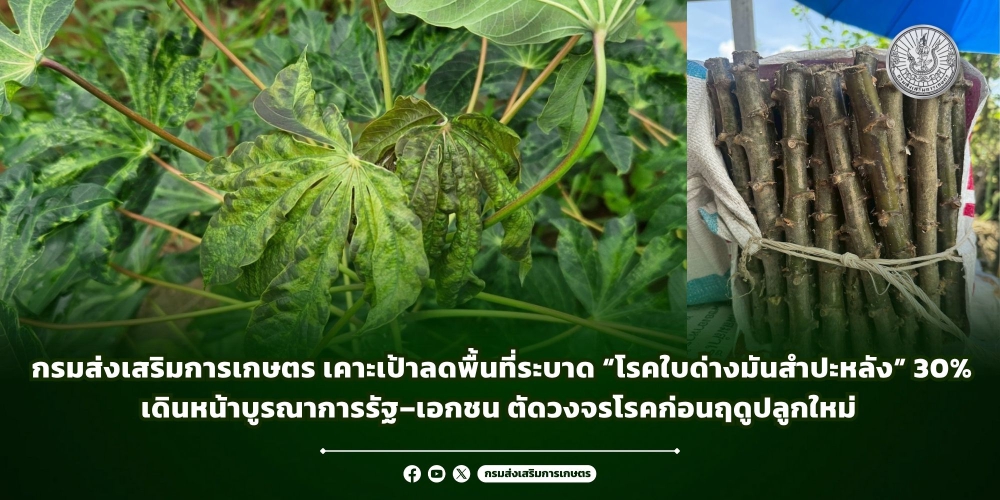 กรมส่งเสริมการเกษตร