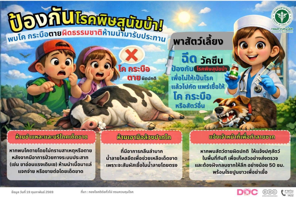 พบโค ตายผิดปกติ ห้ามชำแหละ ห้ามนำมารับประทานเด็ดขาด
