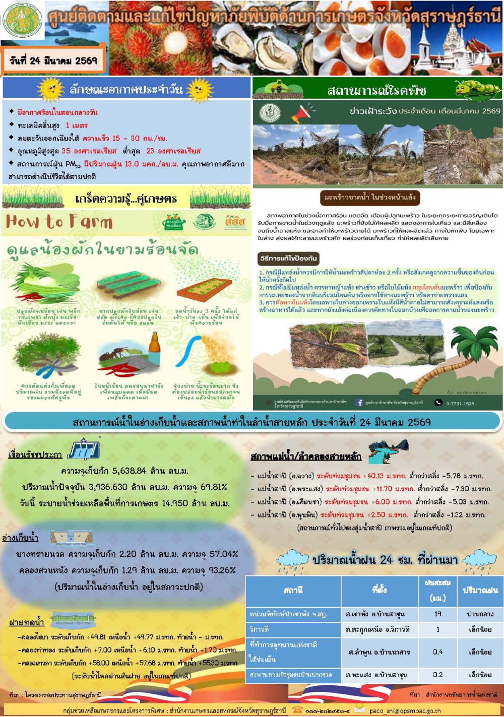 รายงานสถานการณ์ประจำวัน