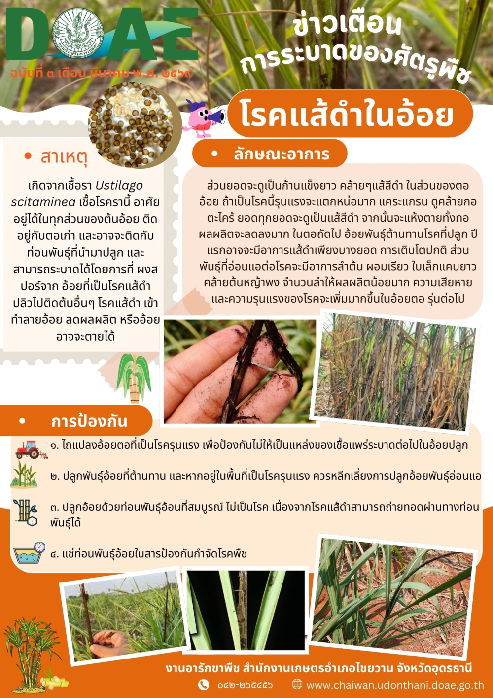 ที่มา :  สำนักงานเกษตรจังหวัดอุดรธานี