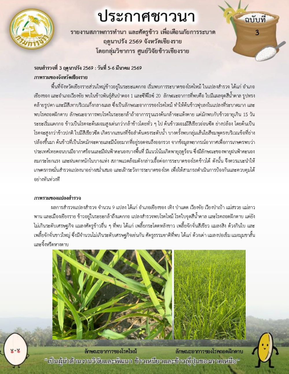ประกาศชาวนาฤดูนาปรังฉบับที่3/2569รายงานสภาพการทำนาและศัตรูข้าวเพื่อเตือนภัยการระบาดฤดูนาปรัง