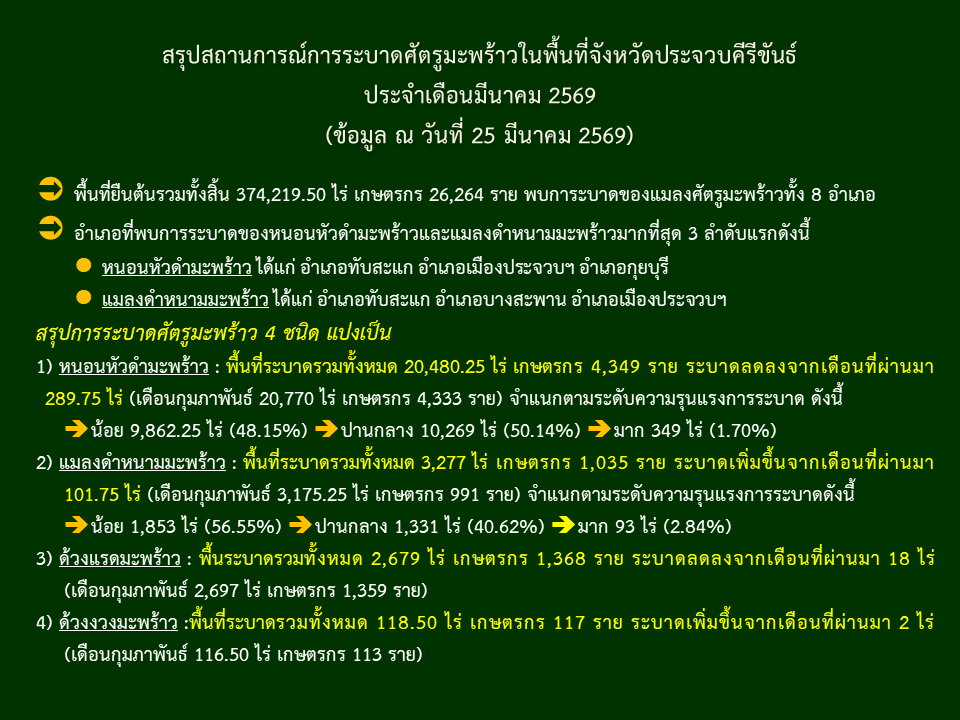 สรุปสถานการณ์การระบาดศัตรูมะพร้าวในพื้นที่จังหวัดประจวบคีรีขันธ์