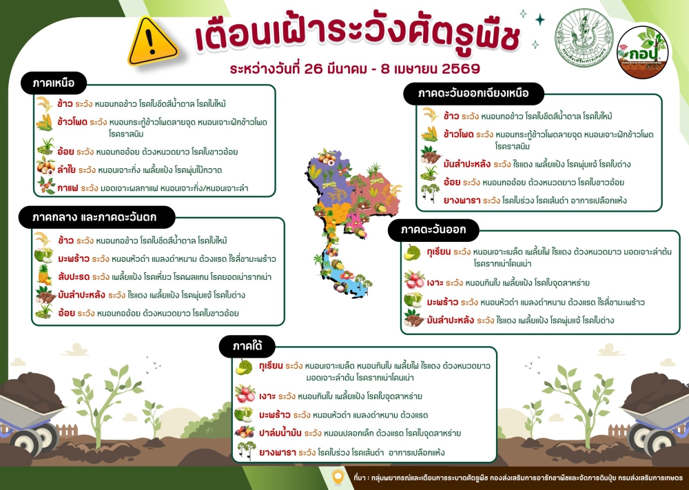 เตือนเฝ้าระวังศัตรูพืชประจำสัปดาห์