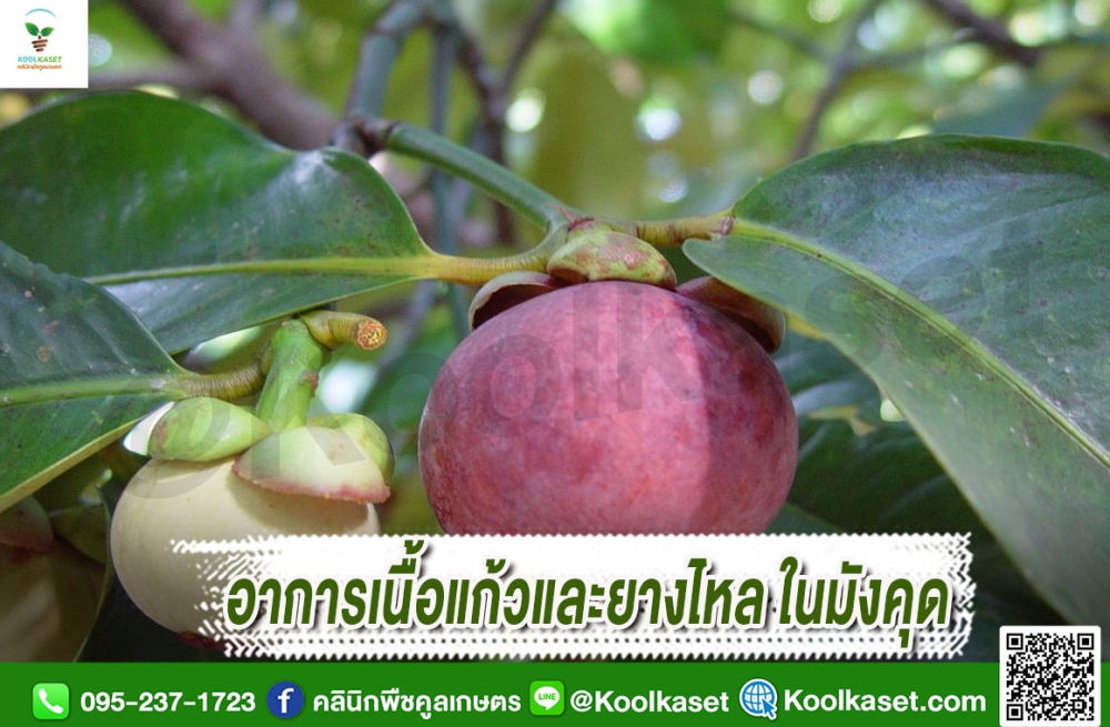 เตือนการเฝ้าระวัง