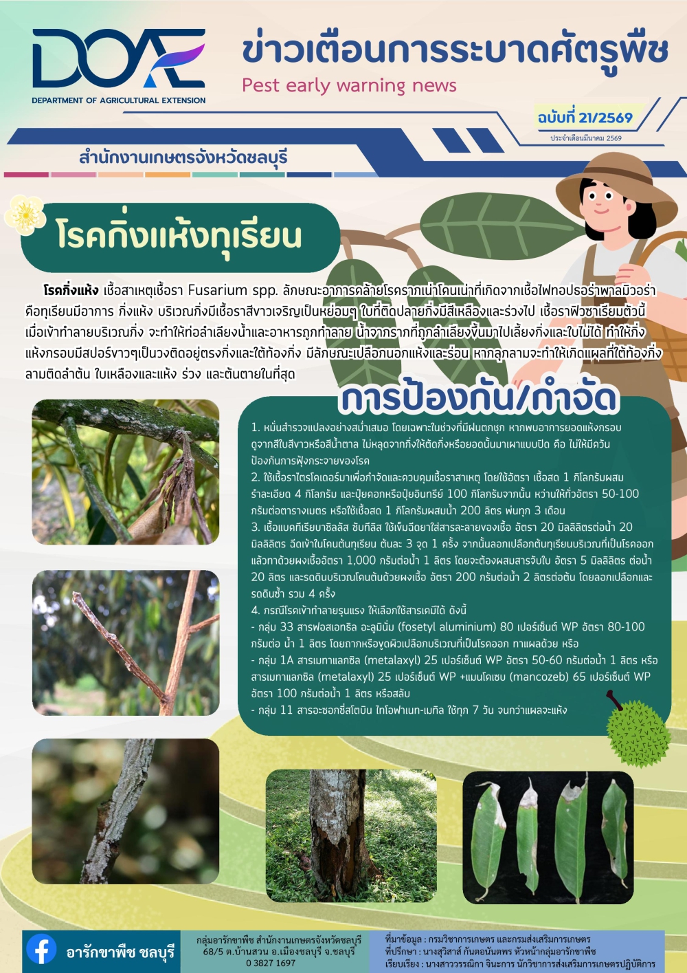 โรคกิ่งแห้งทุเรียน